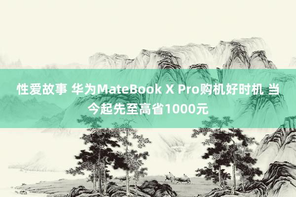 性爱故事 华为MateBook X Pro购机好时机 当今起先至高省1000元