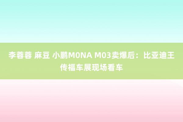 李蓉蓉 麻豆 小鹏M0NA M03卖爆后：比亚迪王传福车展现场看车