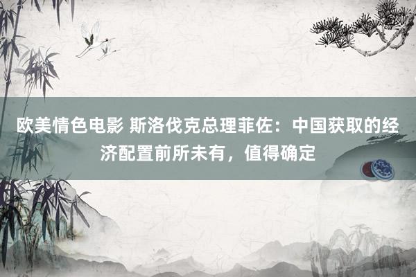 欧美情色电影 斯洛伐克总理菲佐：中国获取的经济配置前所未有，值得确定