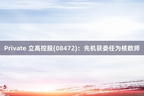 Private 立高控股(08472)：先机获委任为核数师