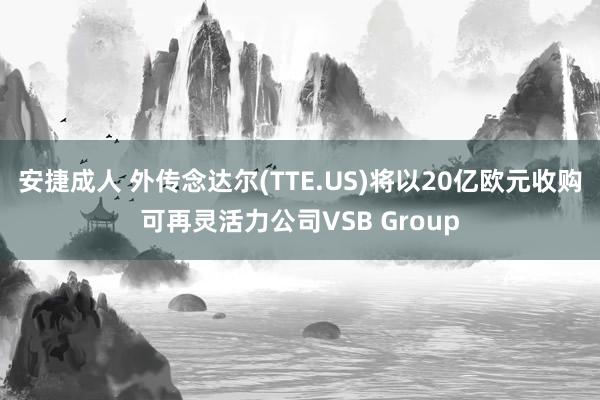 安捷成人 外传念达尔(TTE.US)将以20亿欧元收购可再灵活力公司VSB Group