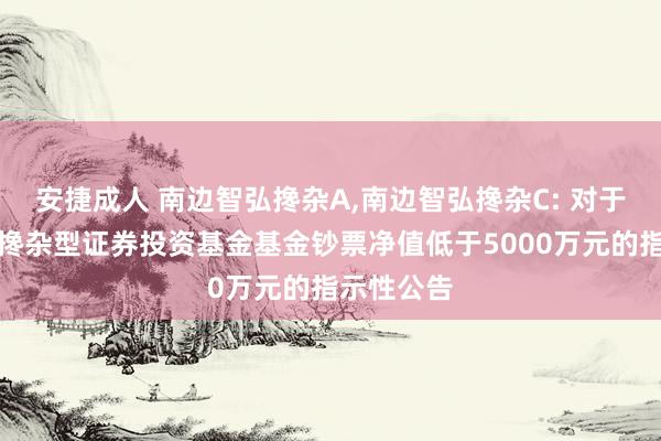 安捷成人 南边智弘搀杂A,南边智弘搀杂C: 对于南边智弘搀杂型证券投资基金基金钞票净值低于5000万元的指示性公告