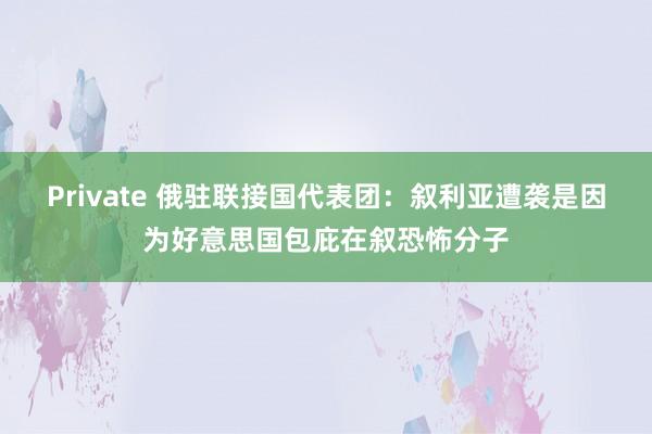 Private 俄驻联接国代表团：叙利亚遭袭是因为好意思国包庇在叙恐怖分子