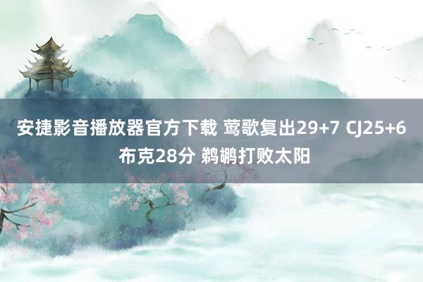 安捷影音播放器官方下载 莺歌复出29+7 CJ25+6 布克28分 鹈鹕打败太阳