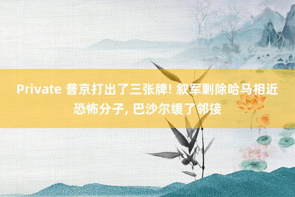 Private 普京打出了三张牌! 叙军剿除哈马相近恐怖分子， 巴沙尔缓了邻接