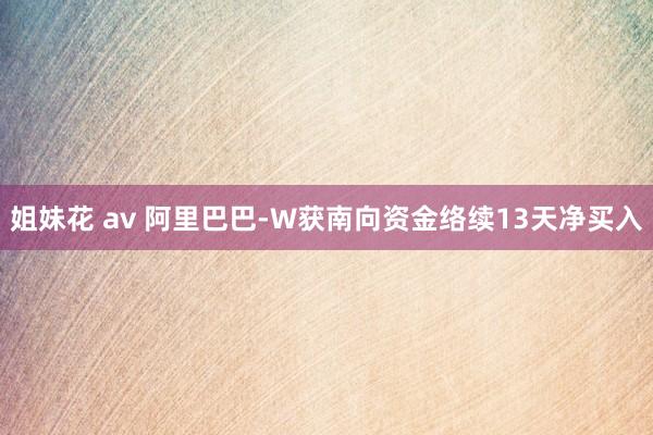 姐妹花 av 阿里巴巴-W获南向资金络续13天净买入