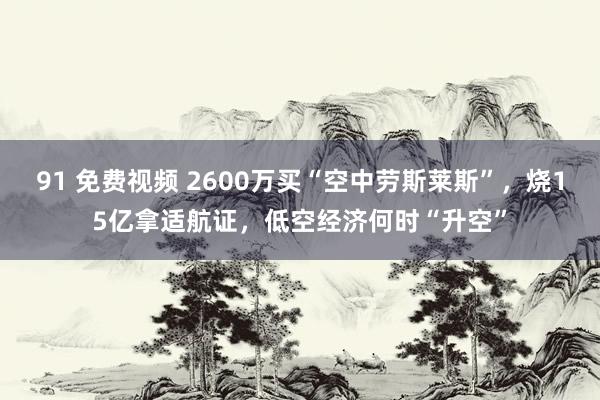 91 免费视频 2600万买“空中劳斯莱斯”，烧15亿拿适航证，低空经济何时“升空”
