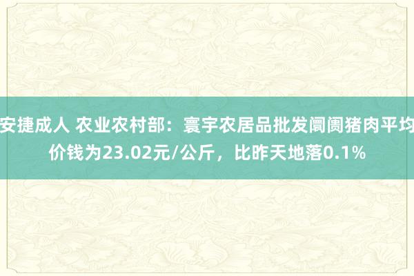 安捷成人 农业农村部：寰宇农居品批发阛阓猪肉平均价钱为23.02元/公斤，比昨天地落0.1%