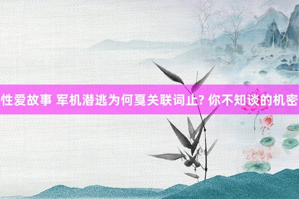 性爱故事 军机潜逃为何戛关联词止? 你不知谈的机密