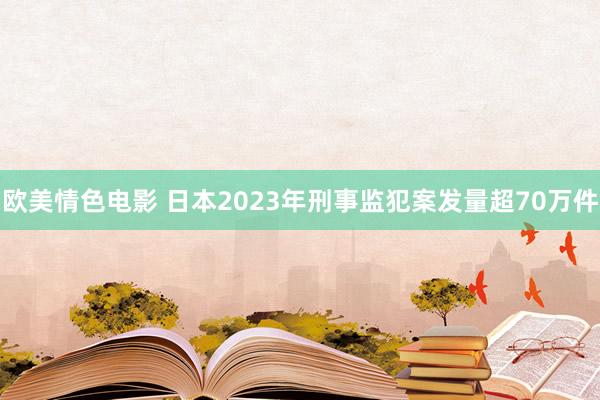 欧美情色电影 日本2023年刑事监犯案发量超70万件
