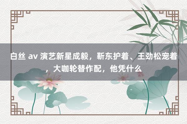 白丝 av 演艺新星成毅，靳东护着、王劲松宠着，大咖轮替作配，他凭什么