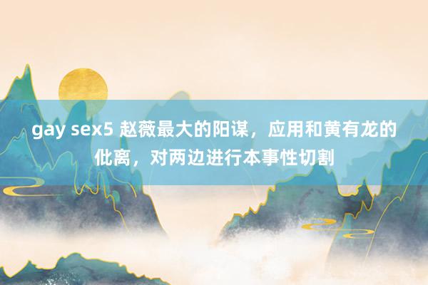 gay sex5 赵薇最大的阳谋，应用和黄有龙的仳离，对两边进行本事性切割