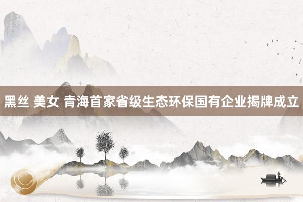 黑丝 美女 青海首家省级生态环保国有企业揭牌成立