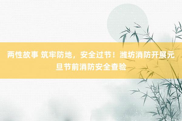 两性故事 筑牢防地，安全过节！潍坊消防开展元旦节前消防安全查验