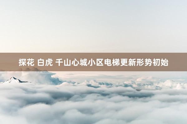 探花 白虎 千山心城小区电梯更新形势初始
