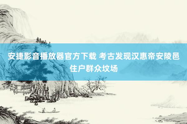 安捷影音播放器官方下载 考古发现汉惠帝安陵邑住户群众坟场