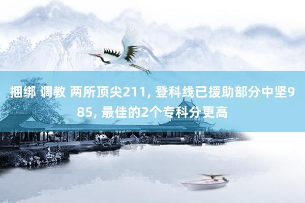 捆绑 调教 两所顶尖211， 登科线已援助部分中坚985， 最佳的2个专科分更高