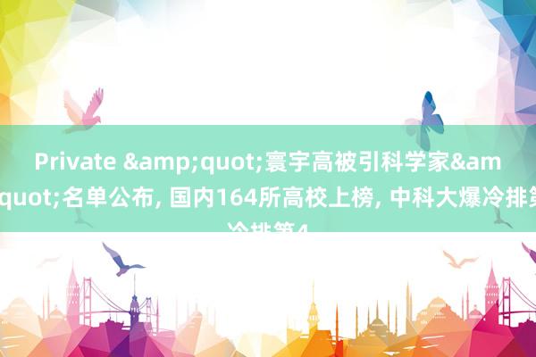 Private &quot;寰宇高被引科学家&quot;名单公布， 国内164所高校上榜， 中科大爆冷排第4