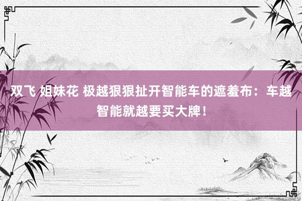 双飞 姐妹花 极越狠狠扯开智能车的遮羞布：车越智能就越要买大牌！