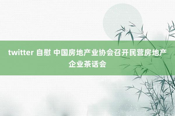 twitter 自慰 中国房地产业协会召开民营房地产企业茶话会