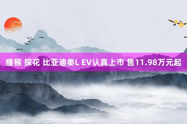 瘦猴 探花 比亚迪秦L EV认真上市 售11.98万元起