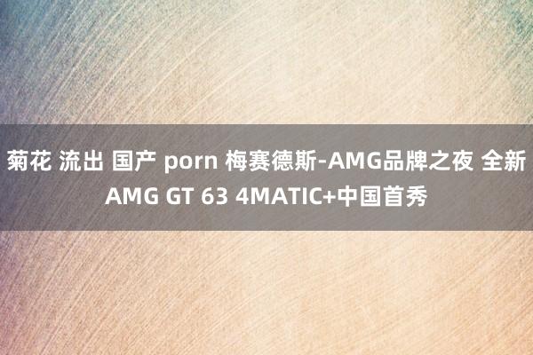 菊花 流出 国产 porn 梅赛德斯-AMG品牌之夜 全新AMG GT 63 4MATIC+中国首秀