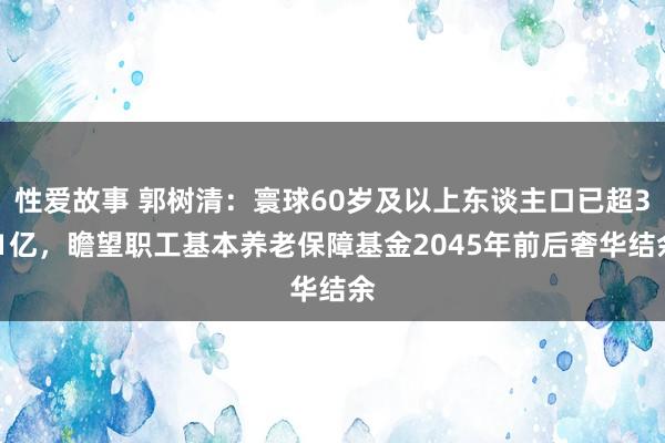 性爱故事 郭树清：寰球60岁及以上东谈主口已超3.1亿，瞻望职工基本养老保障基金2045年前后奢华结余