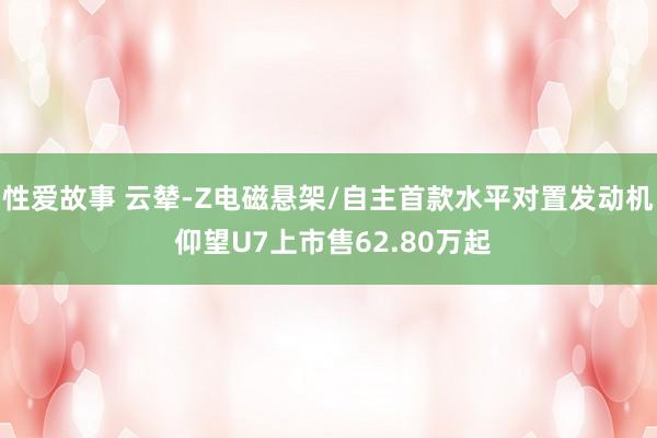 性爱故事 云辇-Z电磁悬架/自主首款水平对置发动机 仰望U7上市售62.80万起