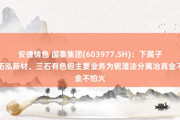 安捷情色 国泰集团(603977.SH)：下属子公司拓泓新材、三石有色钽主要业务为铌湿法分离冶真金不怕火