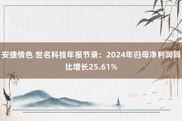 安捷情色 世名科技年报节录：2024年归母净利润同比增长25.61%