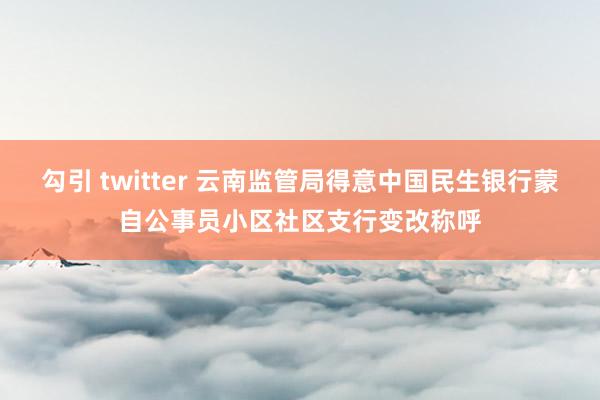 勾引 twitter 云南监管局得意中国民生银行蒙自公事员小区社区支行变改称呼